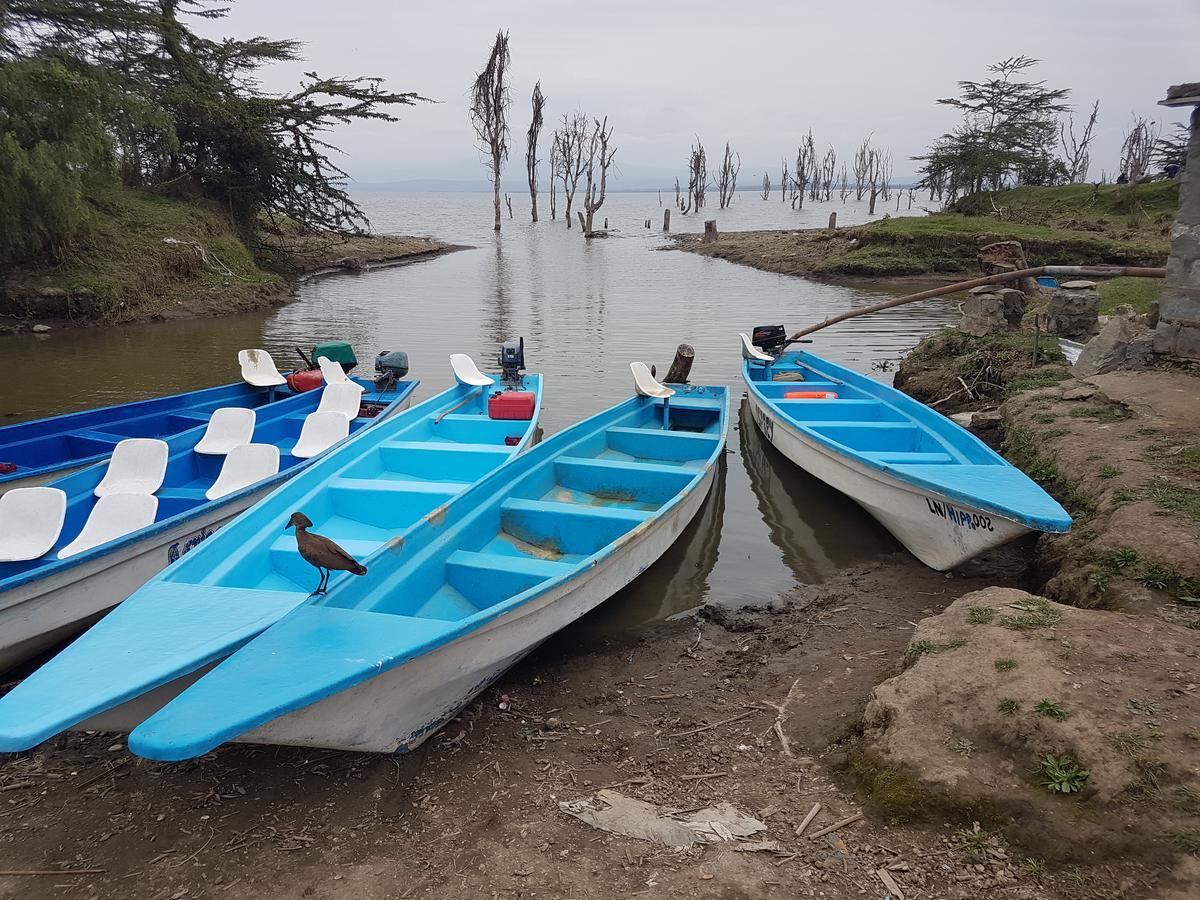 Hippo Safaris Resort Naivasha Ngoại thất bức ảnh