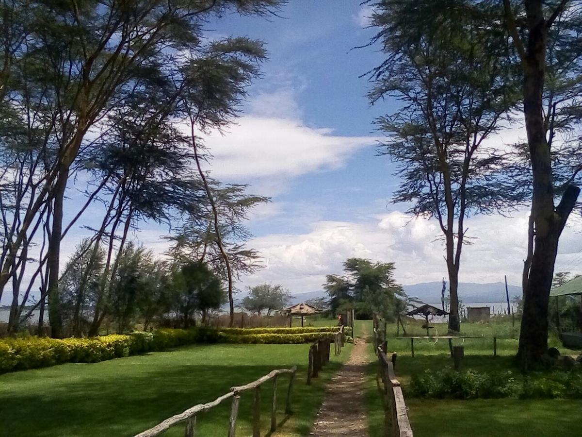 Hippo Safaris Resort Naivasha Ngoại thất bức ảnh